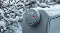 cold climate co alarms