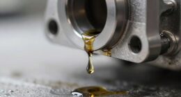 detect and repair leaks