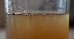 diesel fuel deterioration over time
